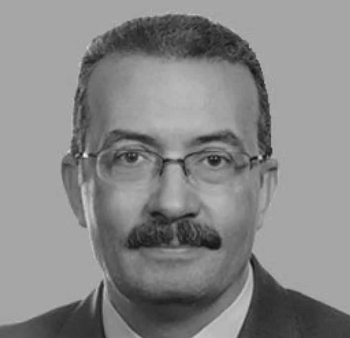 Fekry Youssef Mohamed