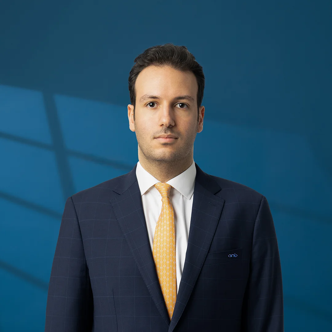 Abdelrahman M. Ahmed