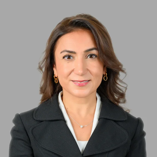 Amel T. Almoayed
