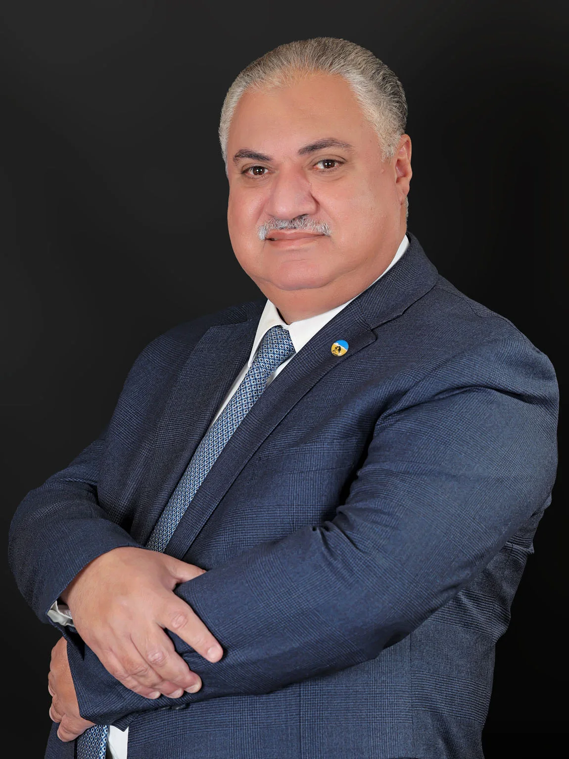 محمد أنسى البشوتى